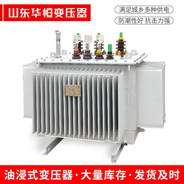 S13-10000/35维西维西维西电力变压器